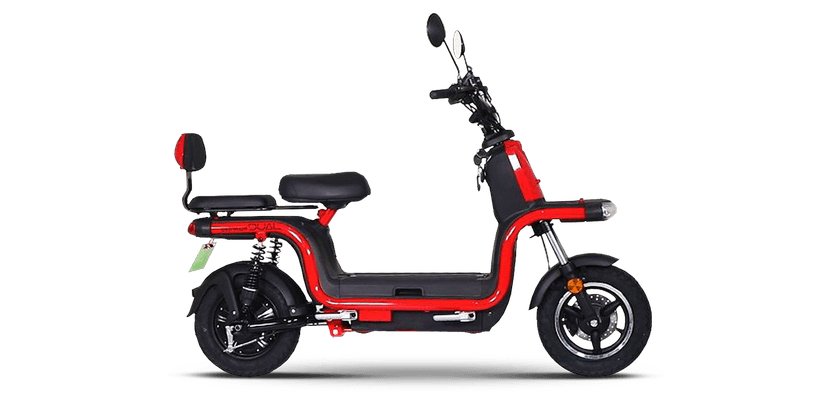 Okinawa Dual 100